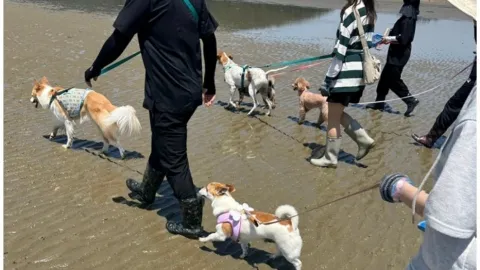 정모 대표 이미지