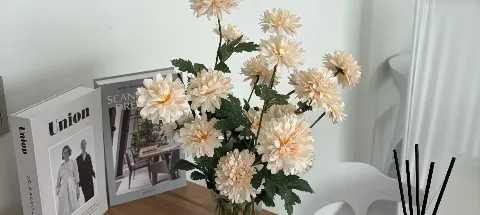 모임 대표 이미지