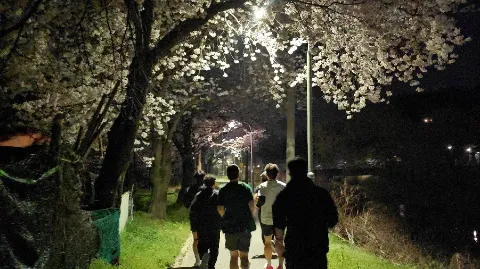 정모 대표 이미지