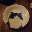 member face