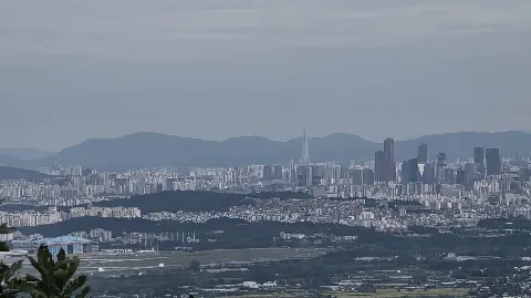 정모 대표 이미지