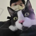 member face