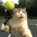 member face