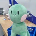 member face