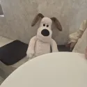 member face