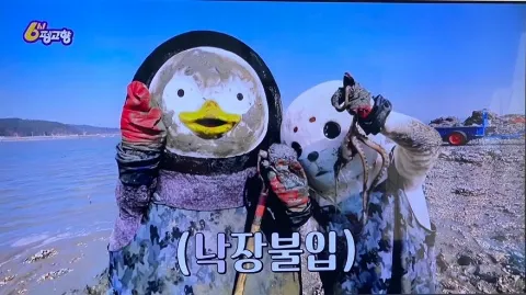 정모 대표 이미지