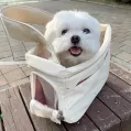 member face