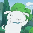 member face