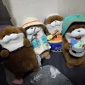 member face