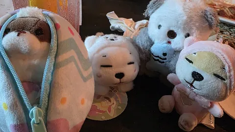 정모 대표 이미지