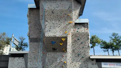 정모 대표 이미지