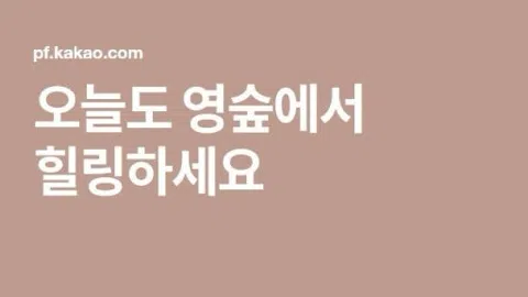정모 대표 이미지