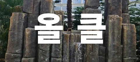 모임 대표 이미지