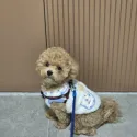 member face