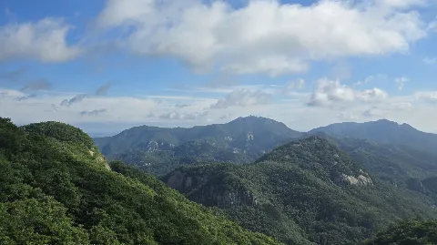 정모 대표 이미지