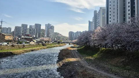 정모 대표 이미지