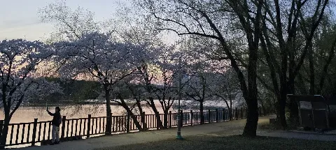 모임 대표 이미지