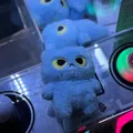 member face