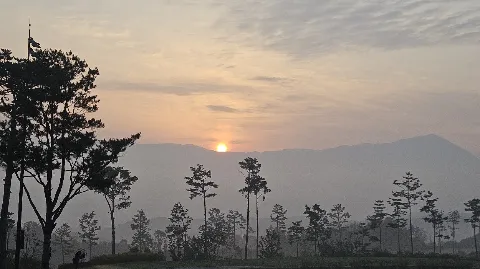 정모 대표 이미지