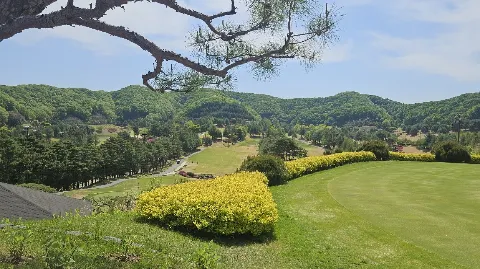 정모 대표 이미지