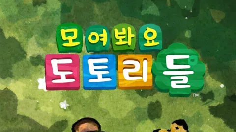 정모 대표 이미지