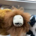 member face