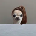 member face