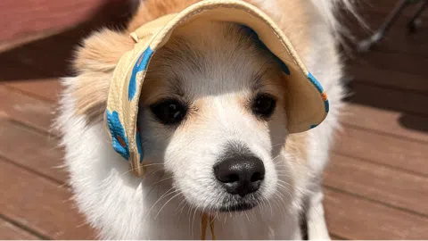 정모 대표 이미지