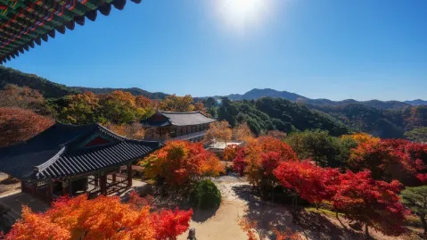 정모 대표 이미지