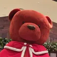 member face