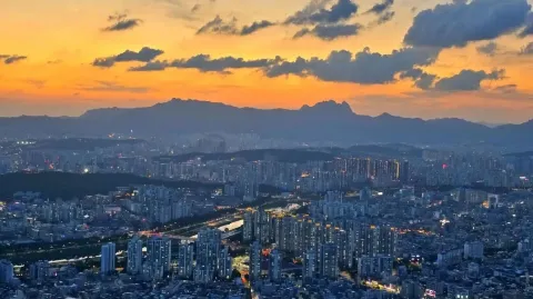 정모 대표 이미지