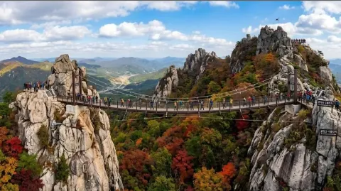 정모 대표 이미지