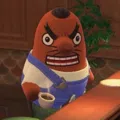 member face