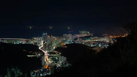 정모 대표 이미지